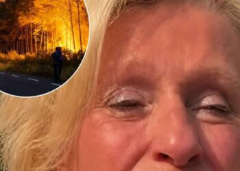 incendies-en-gironde-sophie-davant-et-william-leymergie-evacues-en-pleine-nuit-du-cap-ferret
