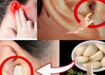 lail-pour-la-sante-des-oreilles-soulagement-et-protection-naturels