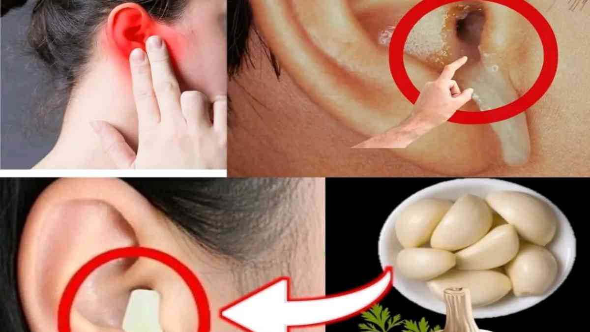 lail-pour-la-sante-des-oreilles-soulagement-et-protection-naturels