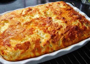 jai-rapporte-de-vacances-une-recette-de-cheesecake-moelleux-aux-courgettes